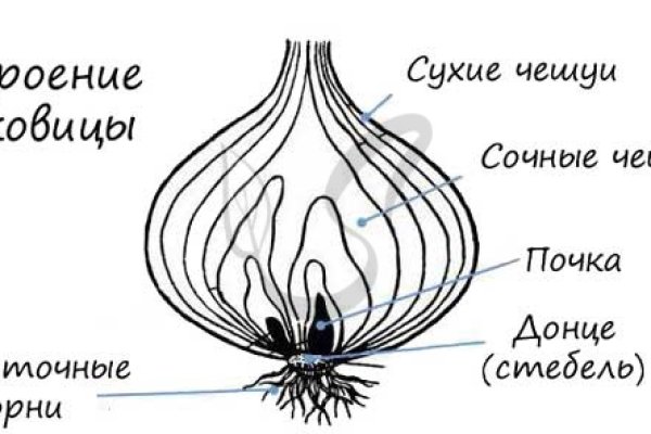 Кракен 16 вход