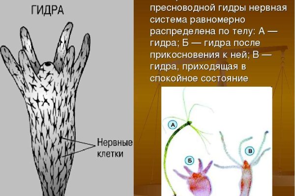 Кракен 15at