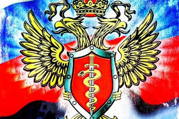 Ссылка на кракен через тор